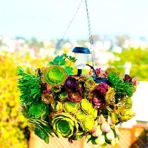 Meet your Posher, Abigail